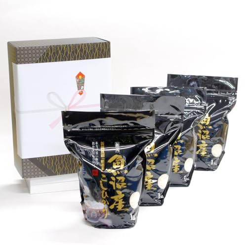 Ε oYj aj Ԃ/YRVqJ MtgZbg  (1kg×4) ߘa7NY V/̂ cE/ 