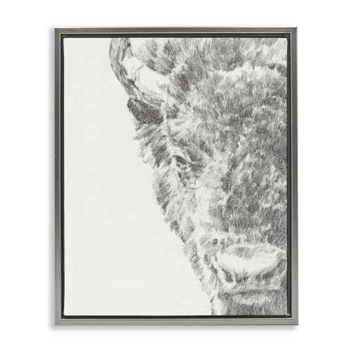 Graphite Bison Rural Farm Drawing, 17 x 21 Inch Canvas in Floater Frame