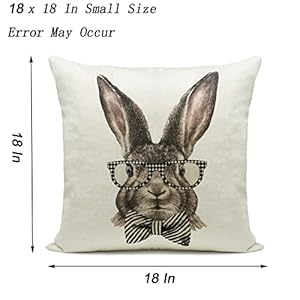 Hlonon easter decorations throw pillow cover set of 2 farmhouse decorative pillows rabbits home decor rustic for spring easter 18 x 18 in  urban country home decor