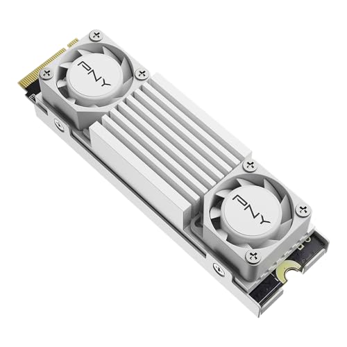 SSD Interno CS3150 2TB M.2 NVMe con dissipatore di calore bianco - M280CS3150HSW-2TB-RB - Hdd - Immagine 2