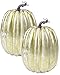 8 Inch Large Gold Plastic Pumpkins for Decorating - 2PCS Big Decorative Foam Pumpkins for Fall Decor, Artificial Plastic Pumpkins Perfect for Halloween Decor Thanksgiving Table Decor