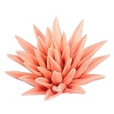 Photo Gallery funomocya decorazione da parete fiori in ceramica accessorio decorazione artigianale da appendere oggetto decorativo resiliente e sicuro casa Photo Gallery funomocya decorazione da parete fiori in ceramica accessorio decorazione artigianale da appendere oggetto decorativo resiliente e sicuro casa
