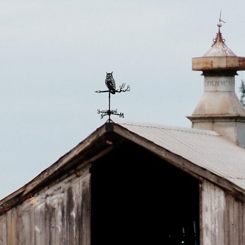image for Marsrut Wind Weathervanes for Roofs Mount with Creative Black Owl Shap