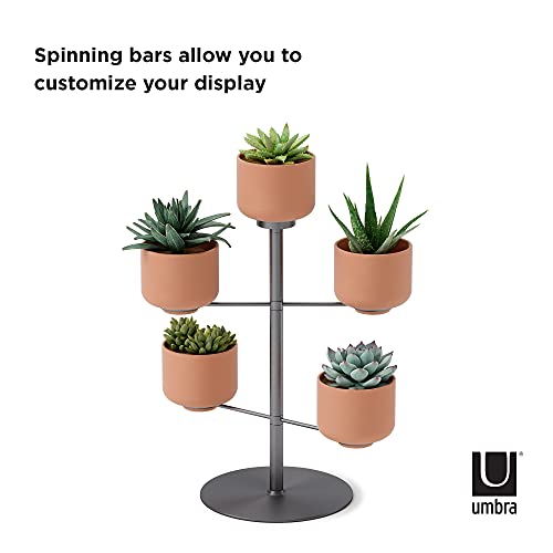 Umbra Terrapotta Tabletop Planter #TOP2