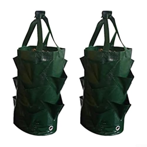 Sacchetti per piantare fragole, confezione da 2 sacchetti per piante di fragole da appendere, con manico, contenitori per piantare fragole per giardino