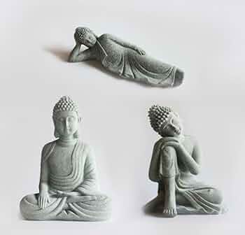 41Zv66kFPdL._AC_UF350,