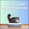 Creative Science Nosorb Non-Absorbent Cat Litter | 6 oz | Easily Collect Urine Samples from Cats