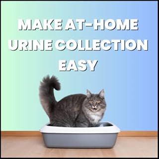 Creative Science Nosorb Non-Absorbent Cat Litter | 6 oz | Easily Collect Urine Samples from Cats