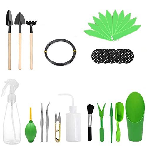 PhantomSky Bonsai Tools Kit, 30-Piece Gardening Set for Bonsai Tree & Succulent Care - Includes Transplanting Tools, Scissors, Shovels, Rake - Beginner Friendly (Green)