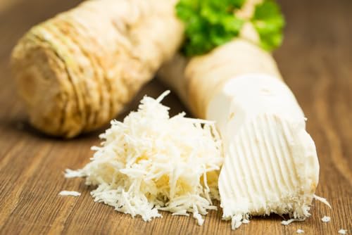 1 Pound Horseradish Roots for Planting - Grow Big Top Horseradish - Horseradish Crowns Garden Plant