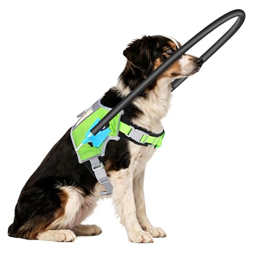 LetPetRun Blind Dog Halo Harness Adjustable Anti-Collision Aid M 20-24