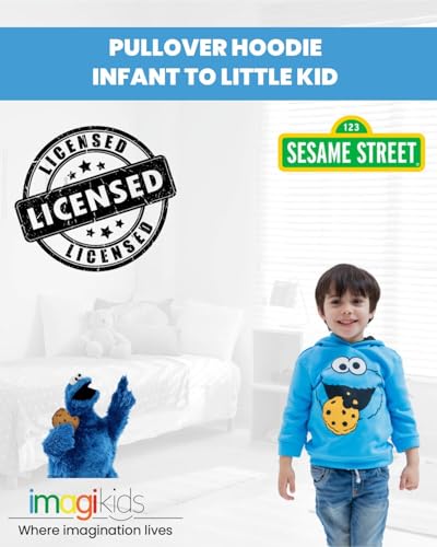 Sesame Street Boys Fleece Pullover Hoodie2