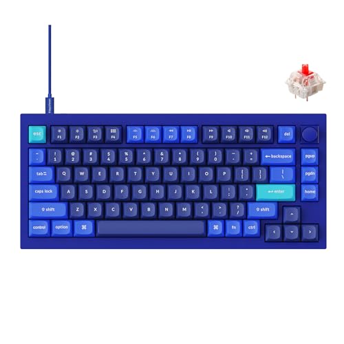 Keychron Q1 RGB �L�� �J�X�^�� ���J�j�J�� �L�[�{�[�h�m�u�o�[�W���� 75%���C�A�E�g QMK/VIA �v���O�����\�ȃ}�N�� �z�b�g�X���b�v�\ Gateron G Pro ���b�h�X�C�b�` �_�u���K�X�P�b�g Mac Windows Lin