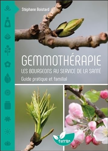 Gemmothérapie - Les bourgeons au service de la sant...