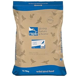 RSPB – Nyjer Seeds for Birds, Wild Bird Food for Small Birds, Oil-Rich and High Energy, Made in the UK, Suitable for Year-Round Feeding (12.75kg)