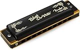 Fender Blues Deville Harmonica, Key of D
