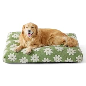 Lesure Extra Large Dog Bed-Thick Shredded Chopped Foam Pet Bed Indoor with Removable Cover, Cute Modern Fuzzy Plush & Anti Slip Bottom, Green Lesure Extra Large Dog Bed Thick Shredded Chopped Foam Pet Bed Indoor with Removable Cover Cute Modern Fuzzy Plush Anti Slip Bottom Green