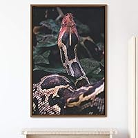 Framed Canvas Wall Art Snake Contemporary Dramatic Hallway Multicolor Photography Reptiles Snakes - 16x24 inches