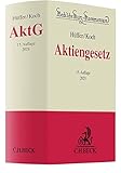  Aktiengesetz (Beck\'sche Kurz-Kommentare, Band 53)