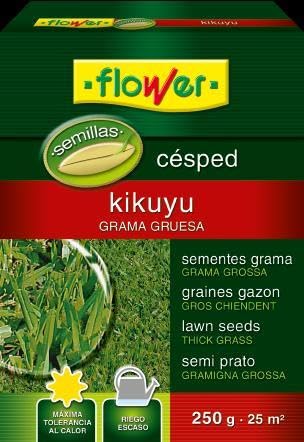 Semillas cesped kikuyu 250 gr de rápida germinación para repoblar praderas secas