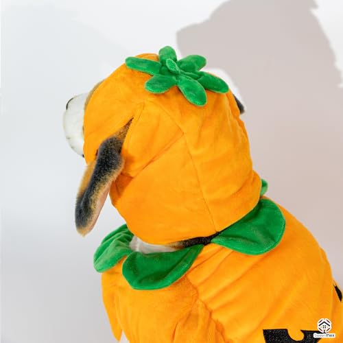 Disfraz de Calabaza para Perros Talla M miniatura 5