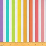 Striped Rainbow Upholstery Fabric, Geometric Abstract Decorative, Colorful Flag Indoor/Outdoor, DIY Art Waterproof for Quilting Sewing, 1 Yard