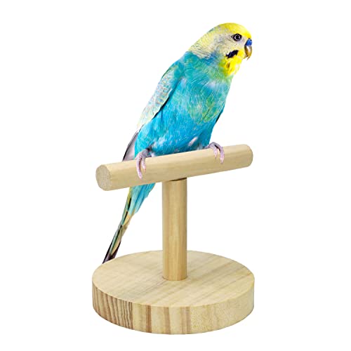 Image of Litewoo Parrot Perch Bird Stand Natural Wood Quartz Sand Birdcage Play Gym T Perch Fits for Budgies Parakeet Cockatiel Conure Lovebirds B