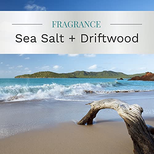 Essential Elements By Candle-Lite Scented Candles, Sea Salt & Driftwood Fragrance, One 14.75 Oz. Three-Wick Aromatherapy Candle With 45 Hours Of Burn Time, Off-White Color #TOP1