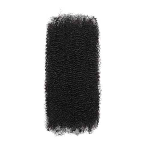 Afro Kinky Bulk Human Hair : 20 Inch, Double Drawn, 100g/Strand, Natural Black; Kinky Curly for Braiding Hair for Locs, Twists, Loc Repair, Dreadlock Extensions (Natural Black, 20 Inch 100g)