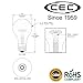 CEC Industries TS60 A19 Frosted Incandescent Replacement Edison Light Bulb, Silicone-Coated, 130V, 60W, E26 Medium Screw Base, Soft White (6-Pack)