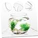 CORHAD Goldfish Bowl Terrarium Tank Round Bocal à Couvercle Betta Fish Tank Fish Tank Decorations Desktop Aquarium Tank Guppy Fish Bowl Litre Drink Fish Bowl with Lid The Pet Transparent