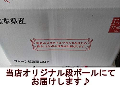 みかん 訳あり 箱込１０キロ（９kg＋保証分５００g）ご家庭用 熊本産 フルーツ 果物【フルーツ甘味屋GGY】