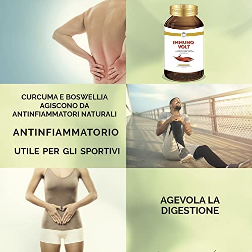 Seb Immuno Volt - Integratore Alimentare Naturale Per Il Sostegno Della Funzionalità Articolare. A Base Di Colostro Di Capra, Lattoferrina, Curcuma, Boswellia Ed Enzimi - 6