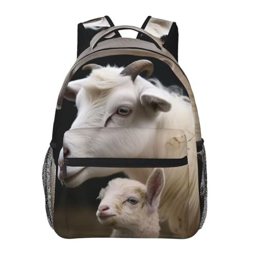 Sac à dos ordinateur portable léger pour travailler sans douleur au dos