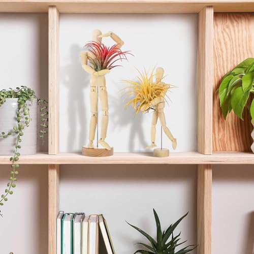 Image of ANPHSIN 2 Sizes Wooden Air Plant Holder, Adjustable Poses, 2 pcs