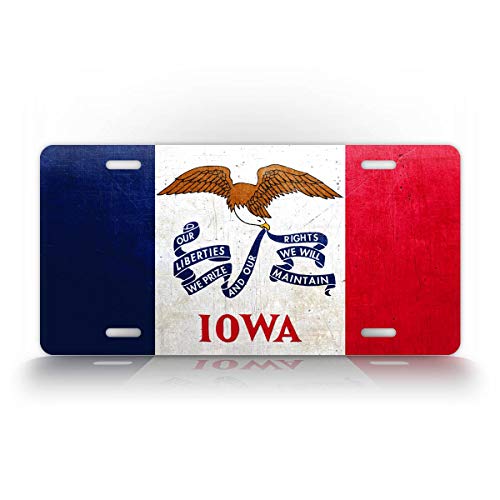 Iowa Weathered Metal Flag License Plate Antique IA State Flag