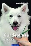 grooming standards  Hundepflege: Grooming - die professionelle Fellpflege für Hunde