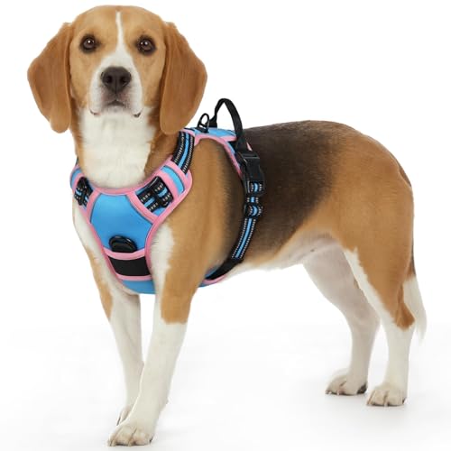 Image of Eagloo Dog Harness for Small Dogs, No Pull Pet Vest with 2 Leash Clips