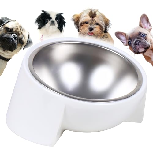 Tilted Dog Bowl for Flat-Faced & Senior Dogs 15 Slanted Stainless Steel Dog Food Bowl Elevated Pet Feeder for Small & Medium Dogs Comfortable Eating Design (White M (420 ML / 2 Cups))