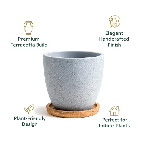 Image of Urban Plant Terracotta Pot with Wooden Saucer - Trendy Planter for Modern Home & Garden Spaces (Terrazzo Terracotta Pot - Gray)