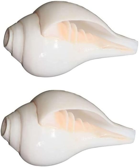 FIRMUS Conch Shell Loud Blowing Shankh Home Temple Puja (White, 5 Inch) - Pack of 2 Pieces