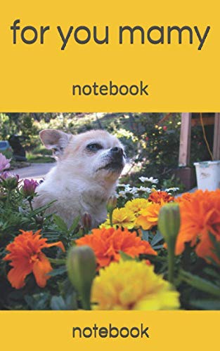 for you mamy: notebook