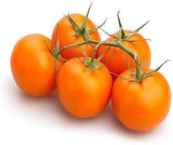 20pcs Tamarillo Fruit Seeds,Orange