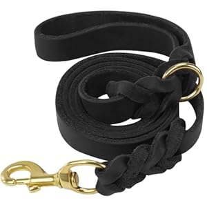 Joytale Laisse Chien Cuir, Laisse en Cuir Robuste pour Chien avec Crochet en Laiton, Douce Et Durable, Adaptée Aux Petits, Moyens Et Grands Chiens（Noir, 180cm×2cm）