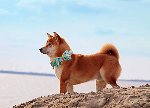 DOGWONG Hundehalsband mit Fliege, Sommergrüne Zitrone Haustierhalsband Hundefliege Geschenk für Mädchen oder Jungen Hunde, Bequeme verstellbares Hundehalsband für kleine mittelgroße Hunde