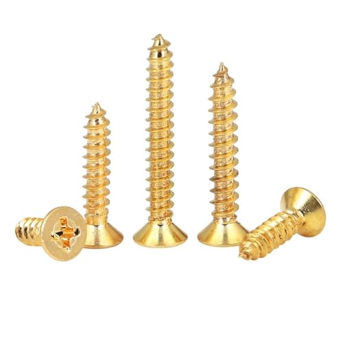 KFOAJW �����Ȑ^�J�M���v���X�t���b�g�Z���t�^�b�s���O�l�W M2 M3 .5 M4 M5 �l�W�ؔƋ�m�[�g�p�\�R���̃��K�l DIY �{���g(10Pcs M5x 40)