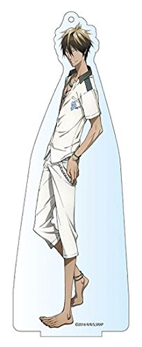 Amazon.co.jp: スカーレッドライダーゼクス 無月ヒジリ デカアクリル