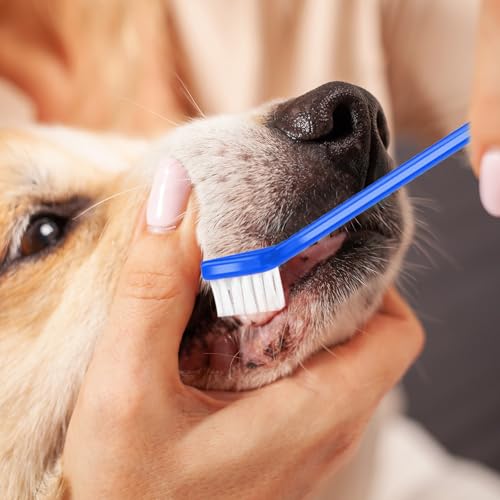 Image of oruola 12Pcs Dual Headed Dog Toothbrush,Toothbrush for Dogs Small Breed,Dental Hygiene Soft Toothbrushs to Clean Pet Teeth,Dog Tooth Brush for Small to Large Dogs, Cats and Most Pets, 12 Color