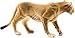 Schleich Wild Life Realistic Lioness Figurine - Authentic and Highly Detailed Wild Animal Toy, Durable for Education and Fun Play for Kids, Perfect for Boys and Girls, Ages 3+