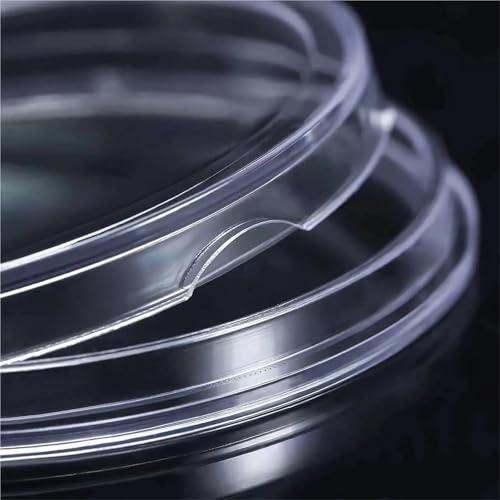 Capsulas plásticas transparentes para monedas 150 piezas miniatura 4